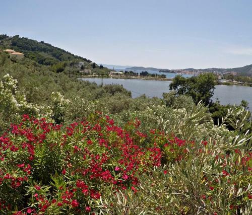 Apartamento Villa Ariadni