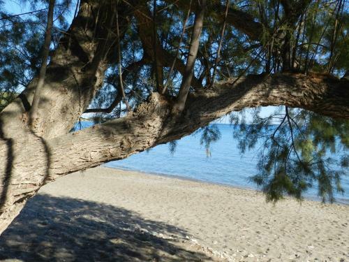 Hostal Turtle's Nest