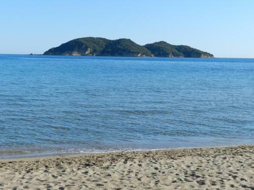 Hostal Turtle's Nest