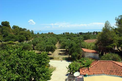 Apartamentos Zante Yliessa