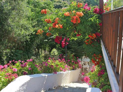 Oliaria Apartments