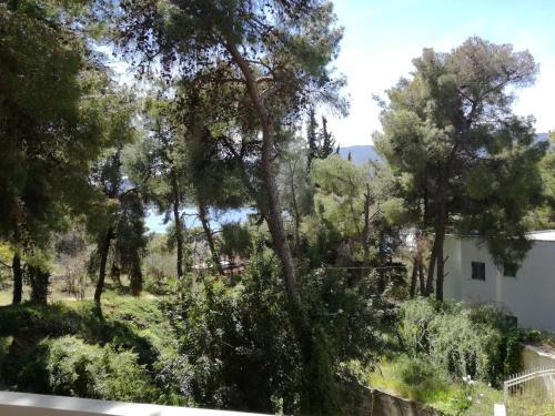 Apartamento Casa Petros No.10