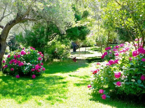 Apartamento Villa Galini