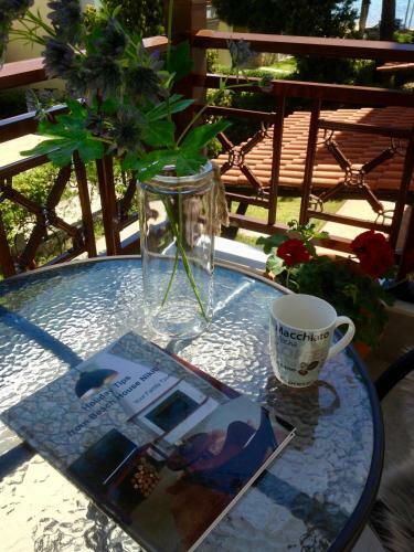 Beach House Nikiti