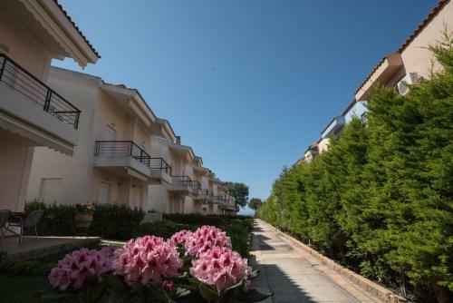 Bitzios Rent Houses