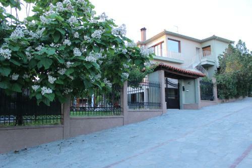 Apartamento Pinehouse King Suite