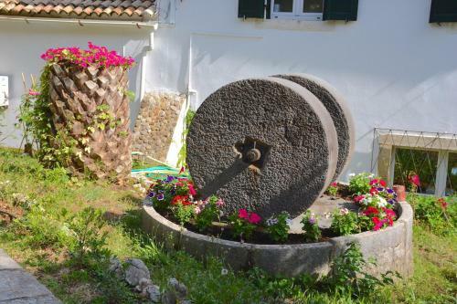 Villa Nissaki Olive Press And Cottage