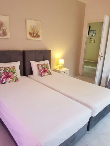 Posada Angels Pool Studios And Apartments