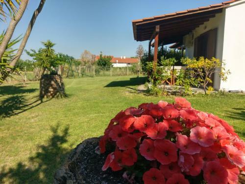 Apartamento Bungalows Iphigenia