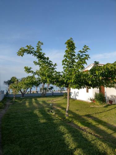 Apartamento Bungalows Iphigenia