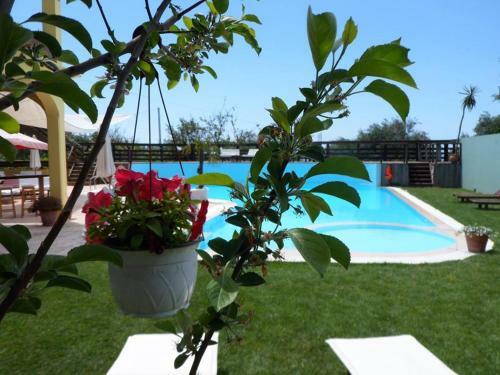 Hostal Hawaii Accommodation Pelekas