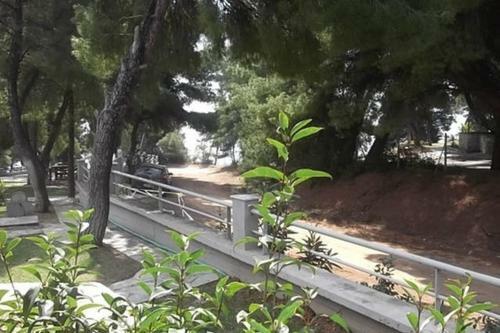 Sithonia Alekos Luxury Apartment