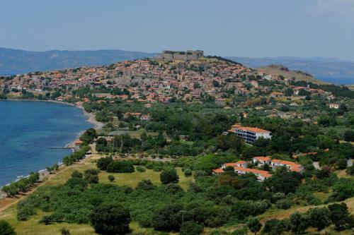 Delfinia Hotel & Bungalows
