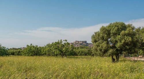 Delfinia Hotel & Bungalows