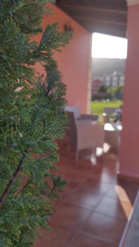 Amaryllis Boutique Apartments