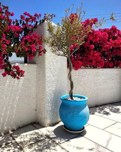 Apartamento Dedalos Studios Naxos