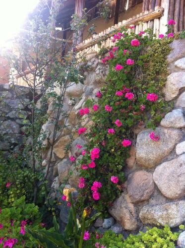 Bed & Breakfast La Capilla Lodge