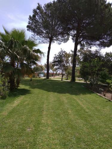 Apartamento Palmyra Beachfront Studios