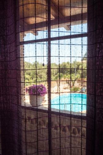 Villa Tierra Olivo