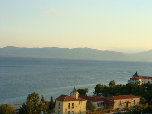 Hostal Rodon
