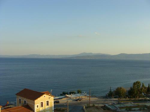 Hostal Rodon