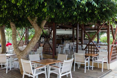 Hotel Dessole Malia Beach - All Inclusive