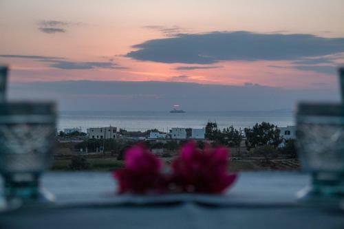 Alma Libre Villas
