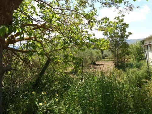 Apartamento Irini - Assimina