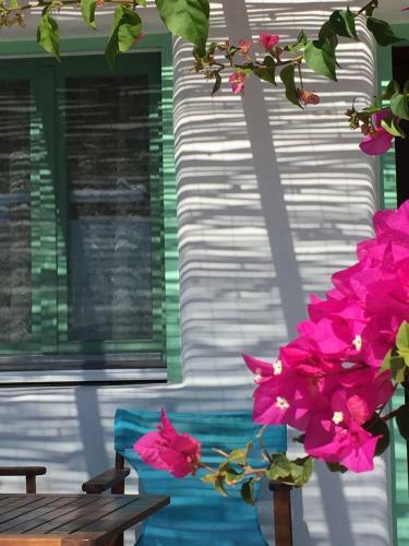 Apartamento Apollon Koufonisia Studios
