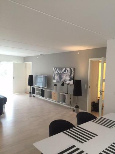 Cph Lux Apartment 2.tv