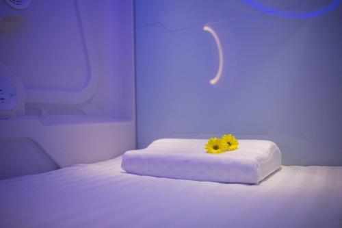 Nang Hostel (capsule)