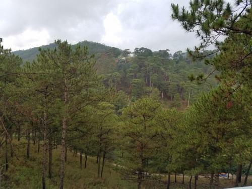 Lam Phan Hotel Villa