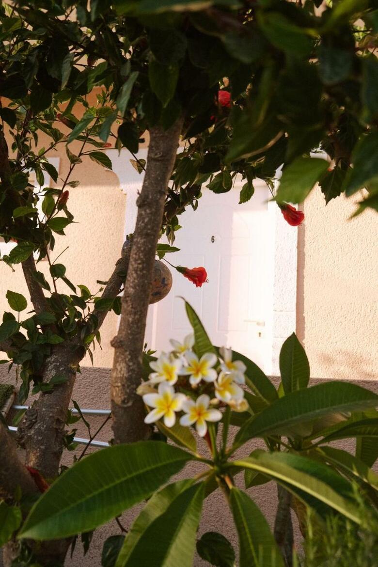 Hotel Studios Kefalos