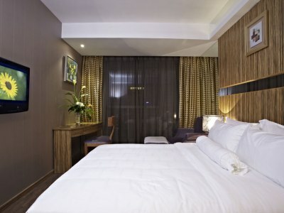 Hotel Sunflower (deluxe Duplex Suite)