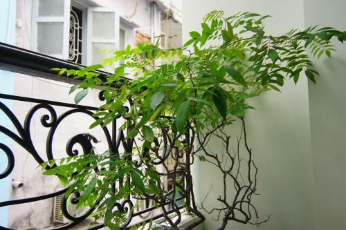 Apartamento Saigon Home Party