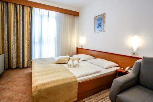 Hotel Drazica