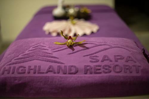 Hotel Sapa Highland Resort & Spa