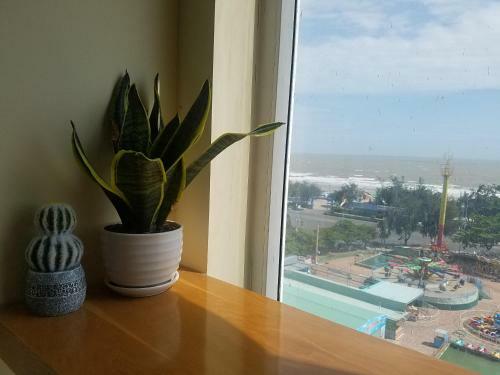 Apartamento Mina House