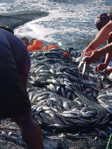 Apartamento 5 Key Largo