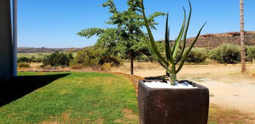 Agroturismo De Pakhuys