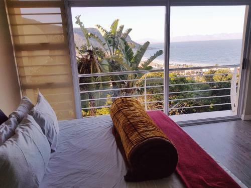 Hostal Beach View Guest House