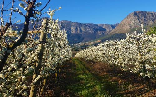 Franschhoek Farm Cottages