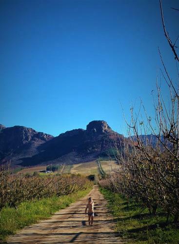 Franschhoek Farm Cottages
