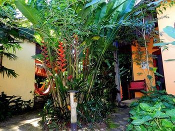 Hotel Pousada Magia Verde