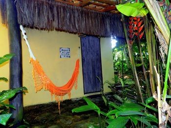 Hotel Pousada Magia Verde