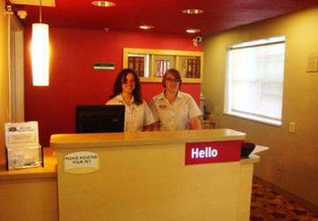 Hotel Towneplace Suites Albany Suny