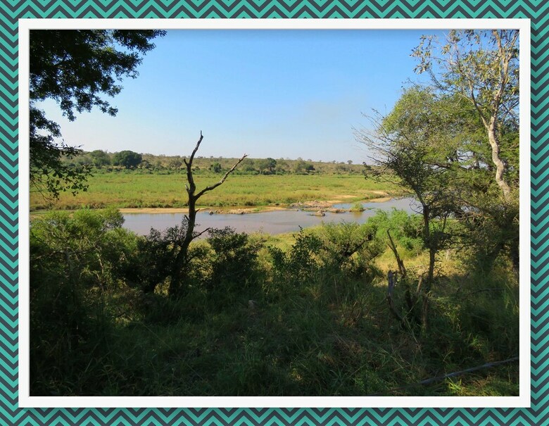 Lodge Foxy Crocodile Bush Retreat