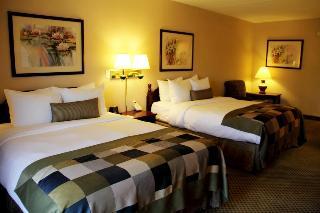 Hotel Wingate By Wyndham Alpharetta