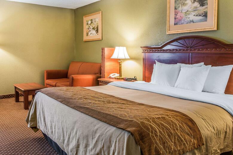Hotel Comfort Inn & Suites Ann Arbor