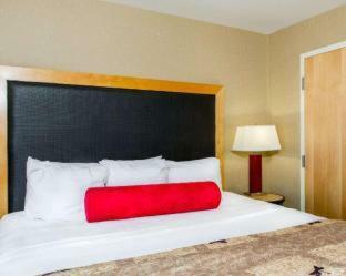 Hotel Cambria Suites Appleton